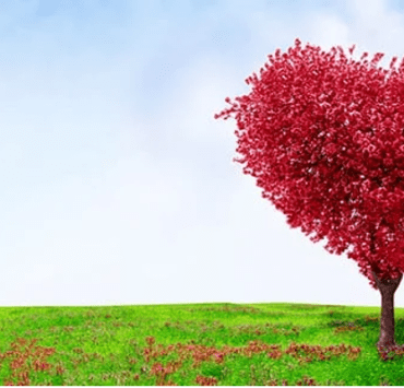 أفريقيا كل الألوان .. ما هي الأفلام المشاركة في مهرجان الأقصر للسينما الحب