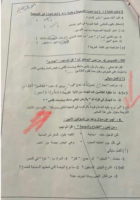 لماذا جنوب أفريقيا وليس أي دولة عروبية؟ العنصرية