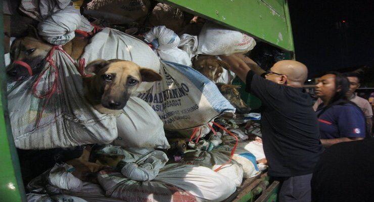 حظر تناول لحوم الكلاب