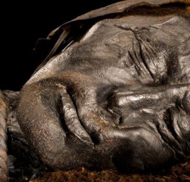 مومياء تولوند