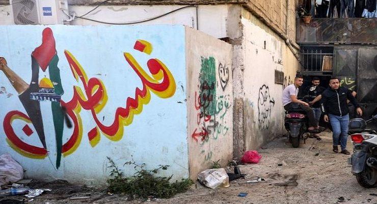 فنان تحريك العرائس الهندي في غزة