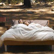 الأحلام الاستباقية