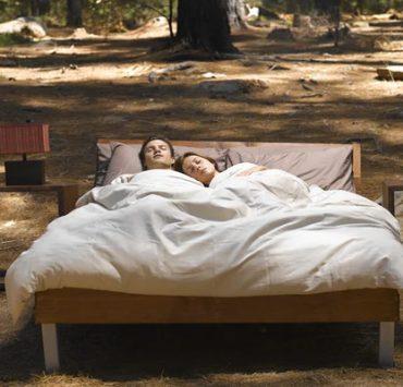 الأحلام الاستباقية