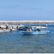 الاسكندرية