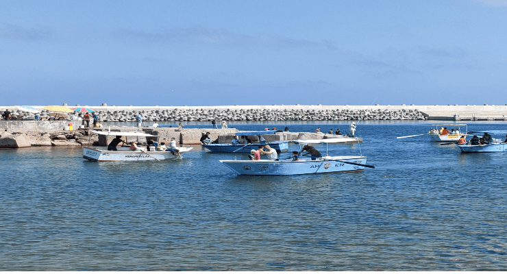 الاسكندرية