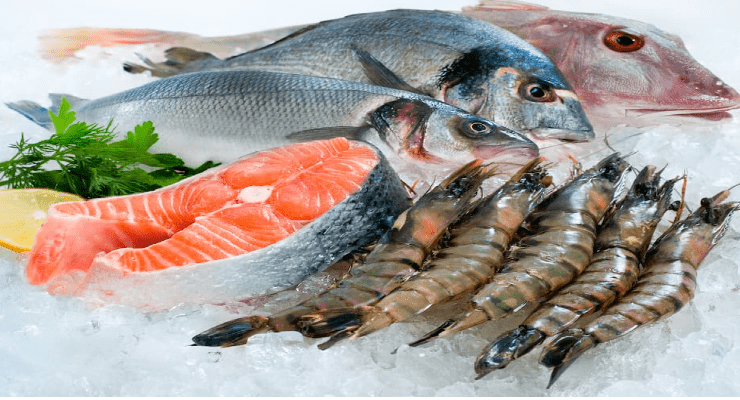 سمك الاسكندرية