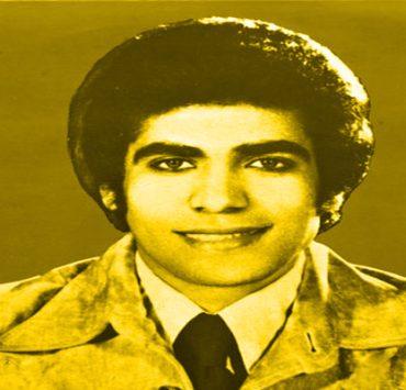 الأشجار ليست عمياء