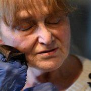 الأم الوطواط