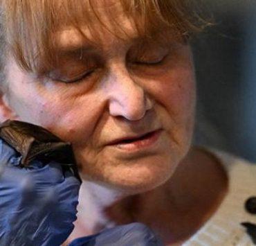 الرئيس الأمريكي الوحيد الذي كان أسير حرب الأم الوطواط