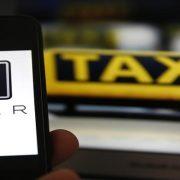 طائر الدودو