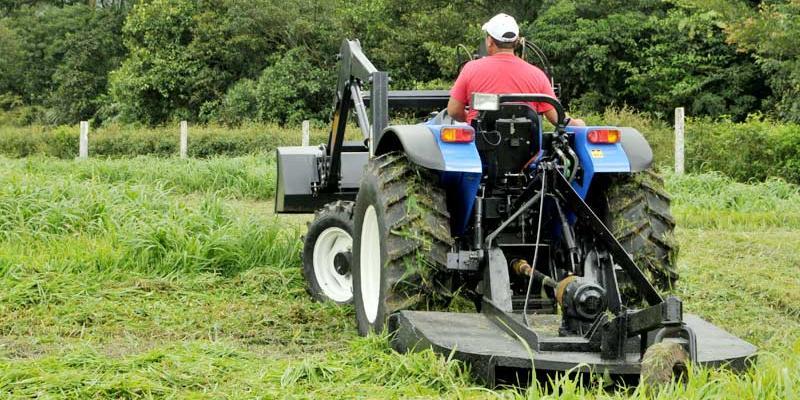 رجل يدفع لشخص لقطع ساقيه لأنه يريد الاحتيال على شركة التأمين التأمين