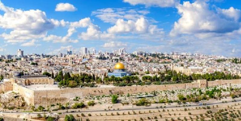 حوار مع صديقي الطفل الأيوبيين والقدس