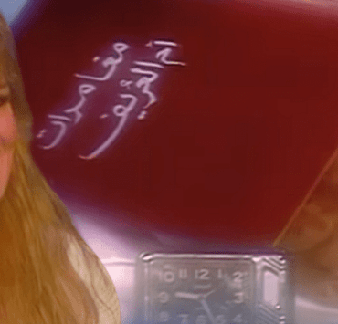 فوازير أم العريف لنيللي