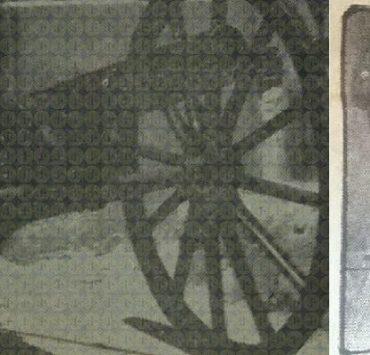 الشاويش عناني