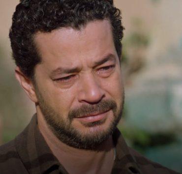 كامل العدد+1