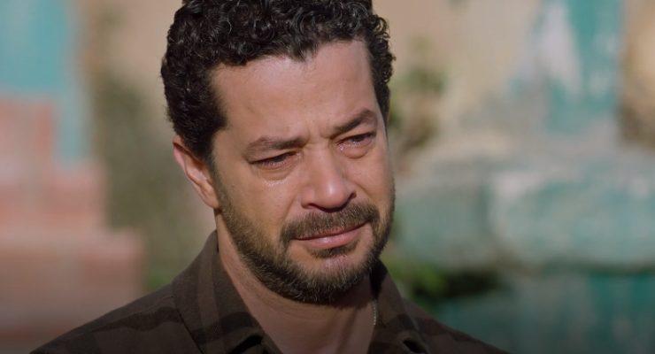 كامل العدد+1