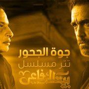 أعلى نسبة مشاهدة