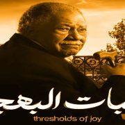 مسلسل نعمة الأفوكاتو