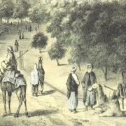 تاريخ الجبرتي