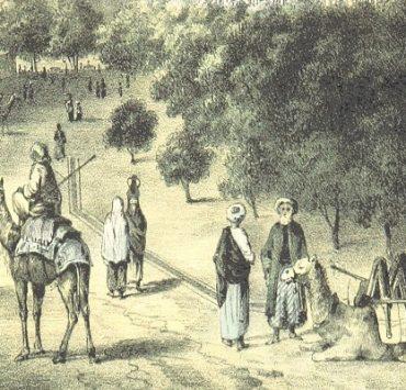 اليوم دا يا طه يومك .. دفاع المصريين عن “العميد” وصمام الأمان تاريخ الجبرتي