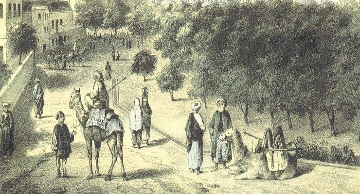 تاريخ الجبرتي