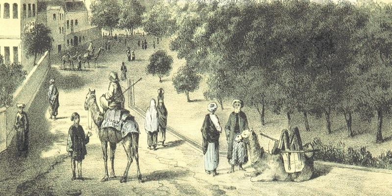 تاريخ الجبرتي