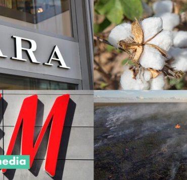 العلامات التجارية