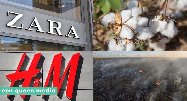 العلامات التجارية