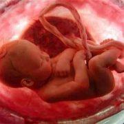 تناول النساء للمشيمة