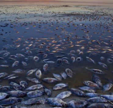 حديث المفلس.. ومفاجآت القيامة! كاليفورنيا