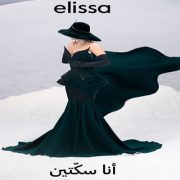 الفيمتو أرت