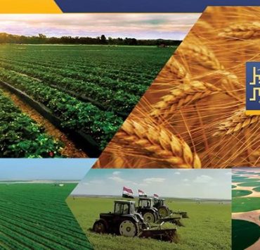 الدلتا الجديدة