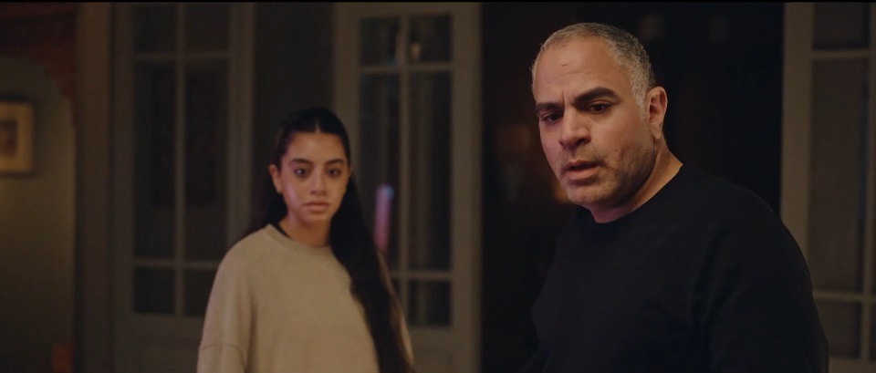 الأسباب الفنية لتميُز لام شمسية لام شمسية