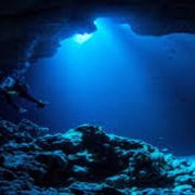 فتيات العنب