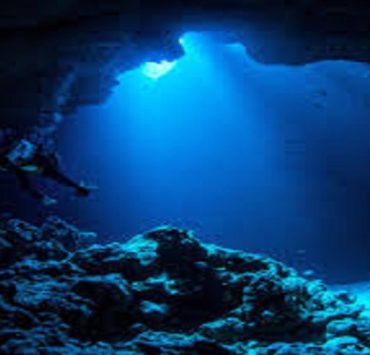 “فيها عبيد مناكيد وفيها السيد”.. ملخص شهادات مزارعين وعمال اليومية في مصر فتيات العنب