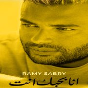 الأحزاب السياسية