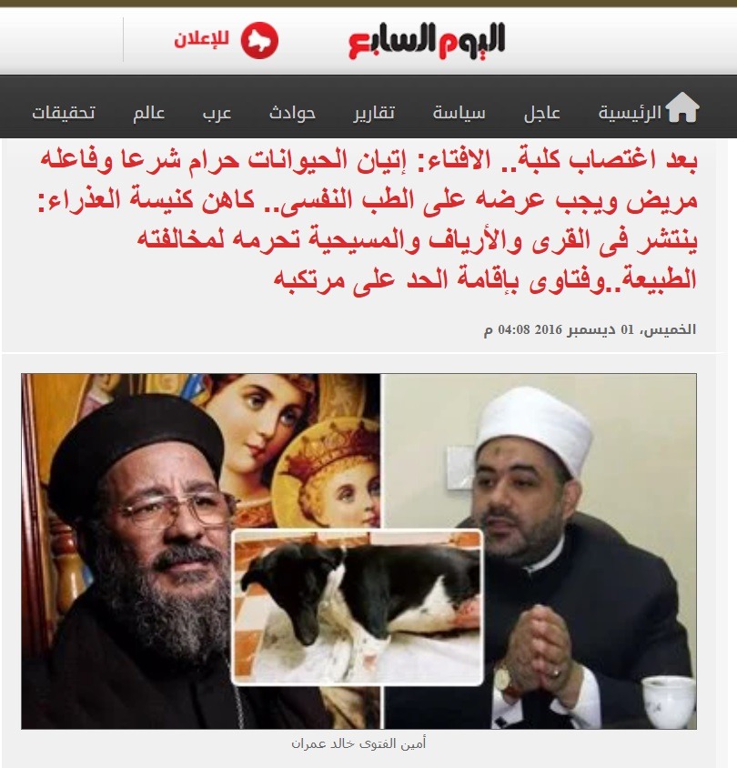 الاعتداء على الحيوانات بين القوانين والديانات.. وأخلاق القرية اعتداء