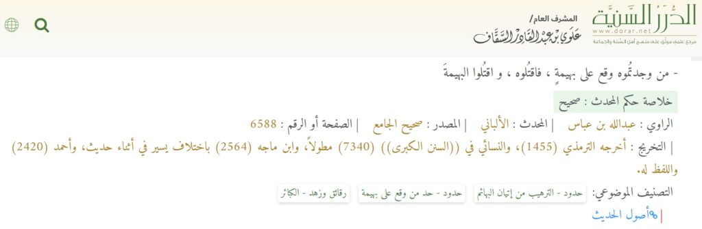 الاعتداء على الحيوانات بين القوانين والديانات.. وأخلاق القرية اعتداء