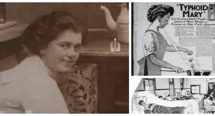 ماري تيفوئيد