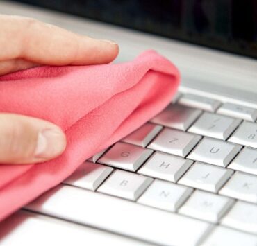 الأشجار المقدسة (1) شجرة آدم بين تفاح وتين وكأس نبيذ كيفية تنظيف اللاب توب خطوة بخطوة