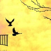 التشدد الديني