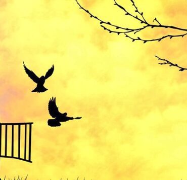 التشدد الديني