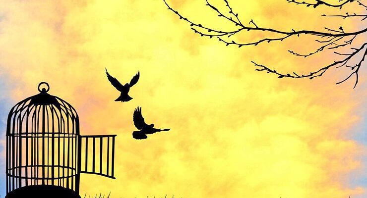 التشدد الديني