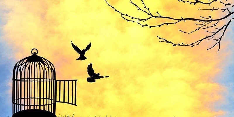 بين التَّشدُّدِ الدِّينيِّ والتَّناقضِ اللِّيبراليِّ.. تحليقٌ ضروريٌّ في المجالِ الحُرِّ المُنْتَهَك التشدد الديني