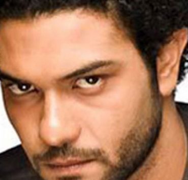 طيور السمان