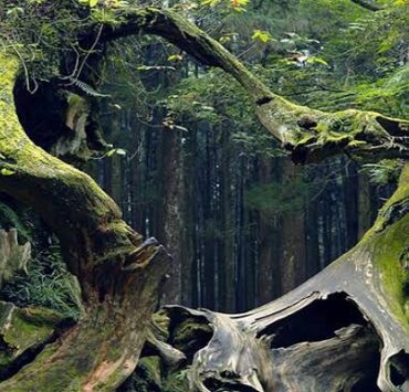 هل التاريخ الإسلامي له علاقة بصدق العقيدة ؟ “جدلية الإيمان بالله والحكايات” العقيدة