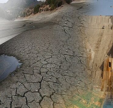 دليل استخدام Microsoft Teams في إجراء اجتماعات الفيديو بالحسابات المجانية القاهرة