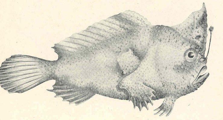 العشرة الأواخر من رمضان زمان