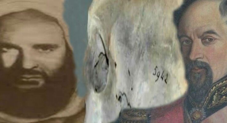 قاتل المصري صاحب الجمجمة 5942